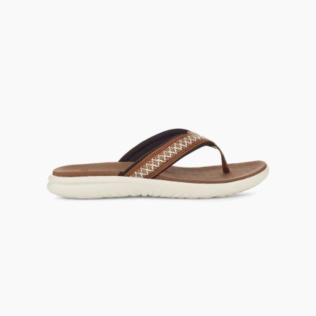 UGG Union Tasman Brown Flip Flops for Men (ROZH16940)